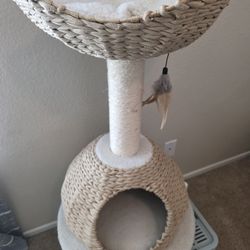 Cat Tree And Litter Box For A Cat 