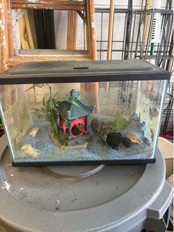 Fish tank W16 D8x H101/2