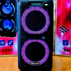 Professional Party Speaker