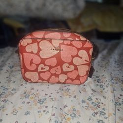 Coach Valentine Purse