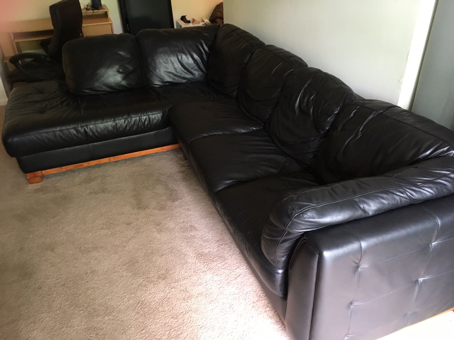 Big sectional leather couch
