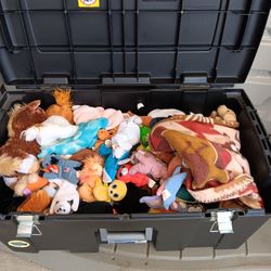 Container Full Of Ty Bennie Babies  NOT FREE