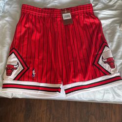 Mitchell And Ness Bulls 95-96 Shorts 