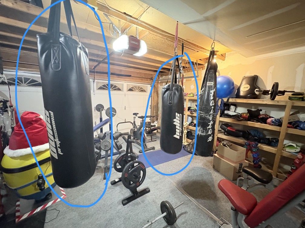 Bulls Professional Heavy Bags