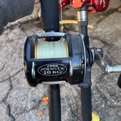 Pen Formula 10kg Fishing Pole 