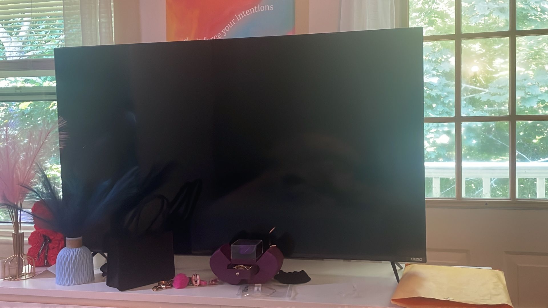 Vizio Tv