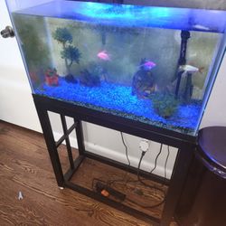 29 Gallon Fish Tank With Fish With a stand
