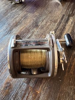 Daiwa Sealine 600h