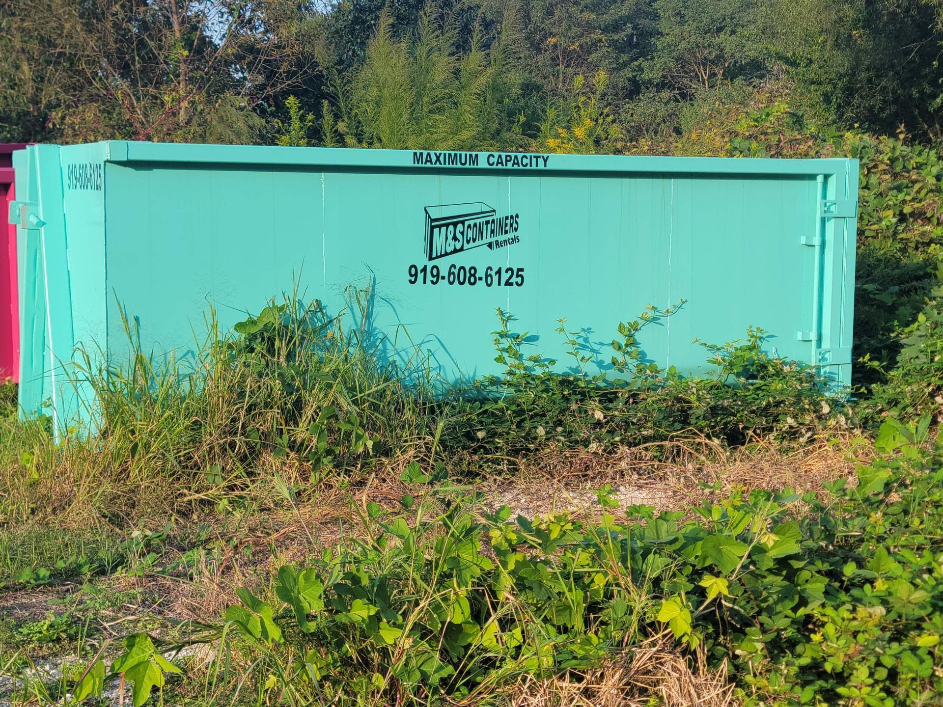 Dumpster
