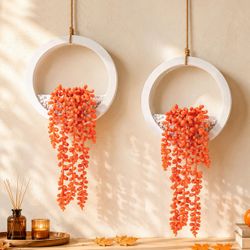 Der Rose 2 Pack Hanging Artificial String Of Pearls Plant
