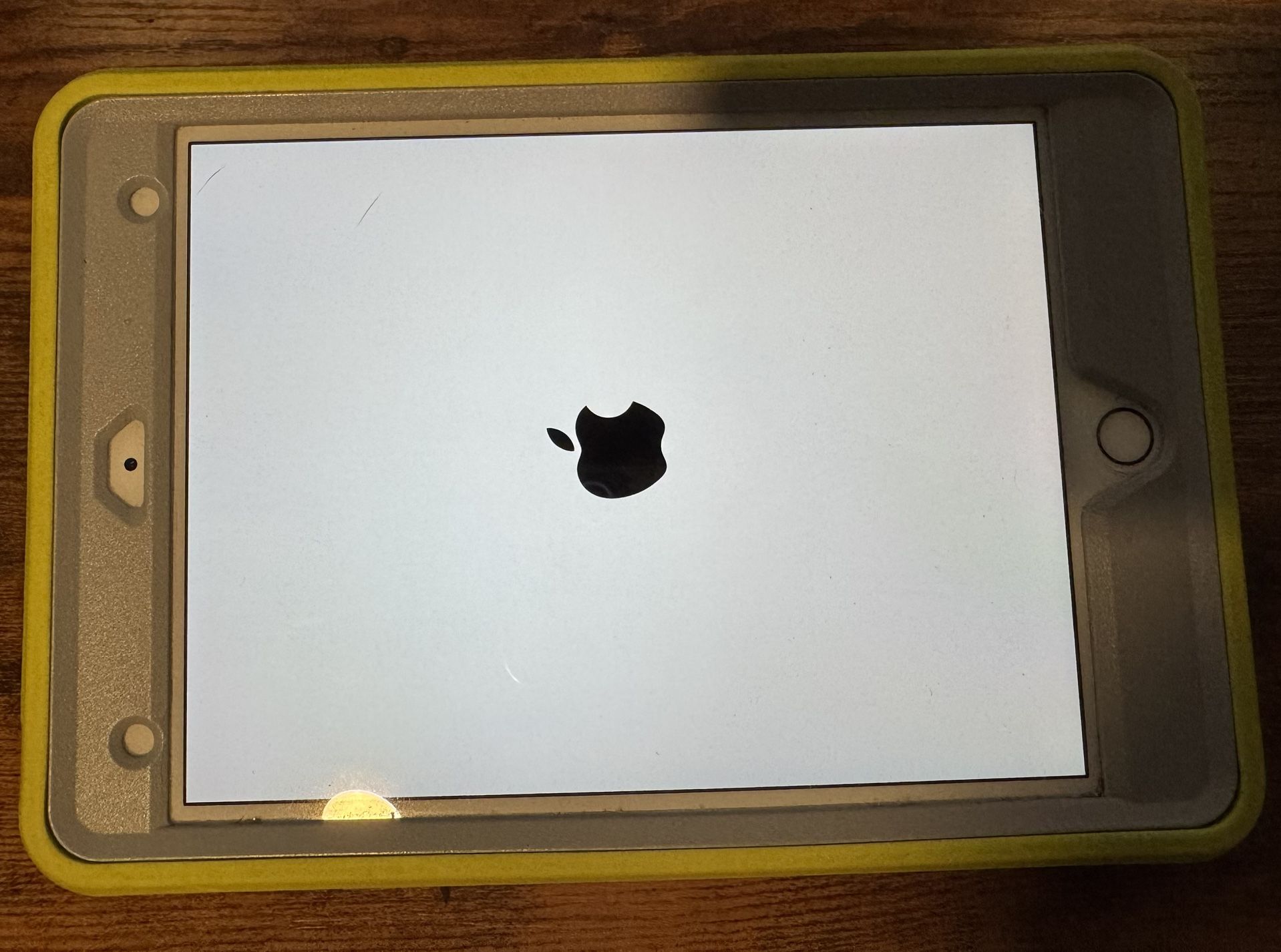 iPad Mini 5th Gen 64gb WiFi+cell(unlocked)