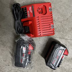 MILWAUKEE 2 5.0 BATTERIES WITH CHARGER