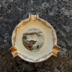 Vintage Porcelain General View Niagara Falls Ashtray  