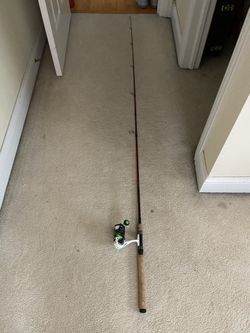 Fishing rod and reel