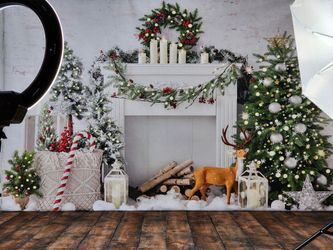 Kate Backdrops 5x7 Christmas backdrop