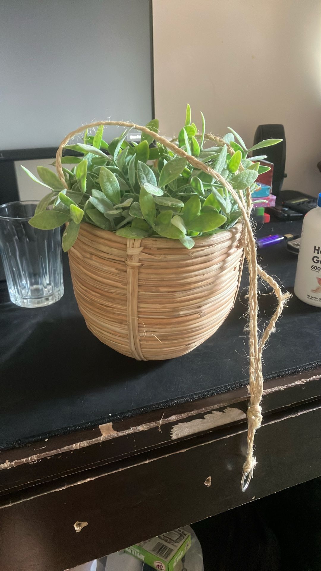 Fake Plant with String