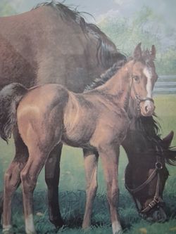 New Life" Framed & Signed Lithograph by Jenness Cortez – Vintage Horse