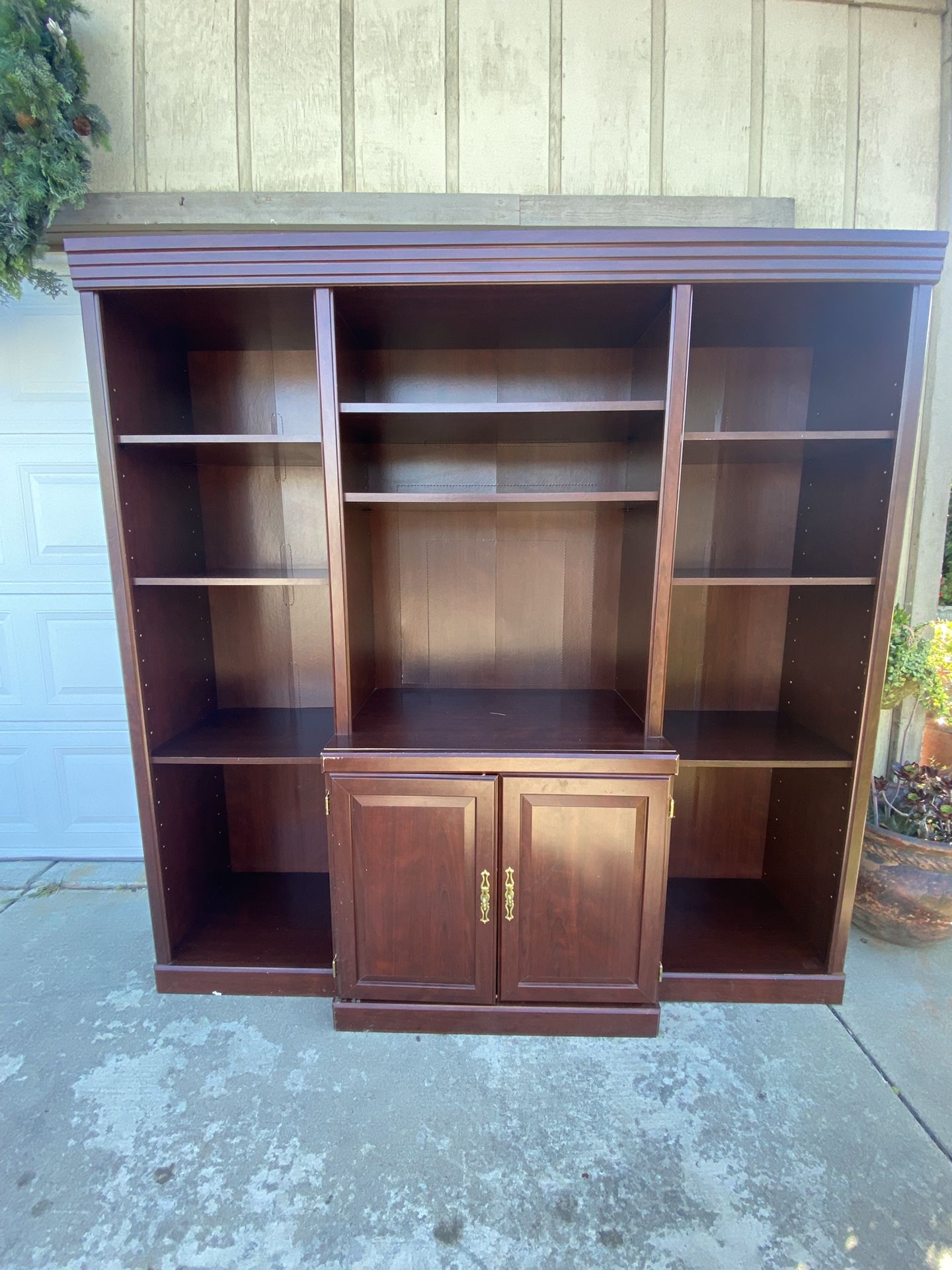 entertainment center / large storage shelve
