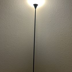 Tall Lamp With Smart Bulb 