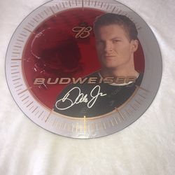 Dale Earnhardt Jr Budweiser Mirror 2004