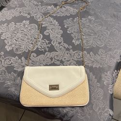ALDO Purse