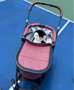 Uppababy Vista V2 in Lucy