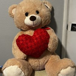 Giant Teddy Bear New