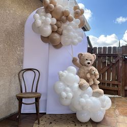 Teddy Bear 