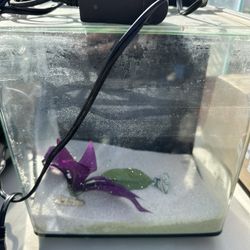 Fish Aquarium With Filter Pump built into backside