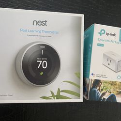 Nest Thermostat And Smart Plug 