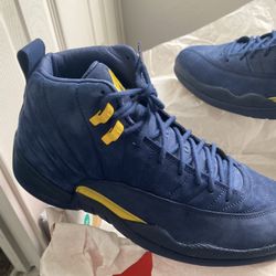Michigan Jordan 12s 