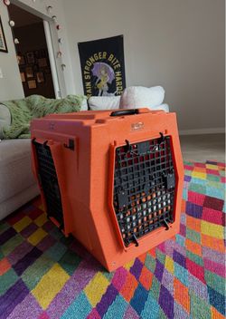Orange Ruffland Kennel