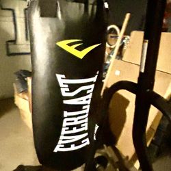 Everlast Punching Bag