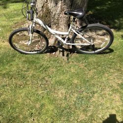 26” Nishiki Mountain Bike (step Over)