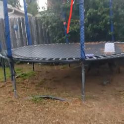 Trampoline 12 Foot