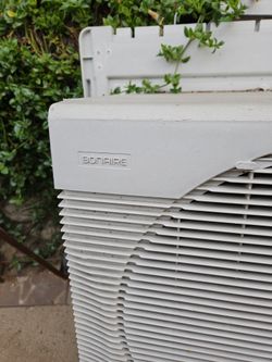 A. Bonaire Swamp Cooler