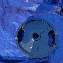 35 lb Olympic Weight Plate Pair, New 