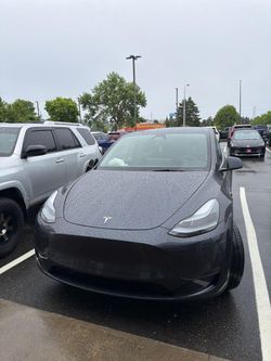 2025 Tesla Model Y