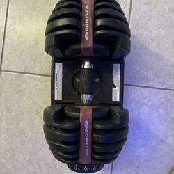 Bowflex Dumbbells 