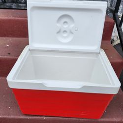 Igloo Picnic Cooler Basket (Used, Good Condition)