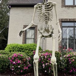 12-Foot Giant Skeleton Halloween Decoration