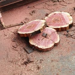 Rustic Wood Slices 