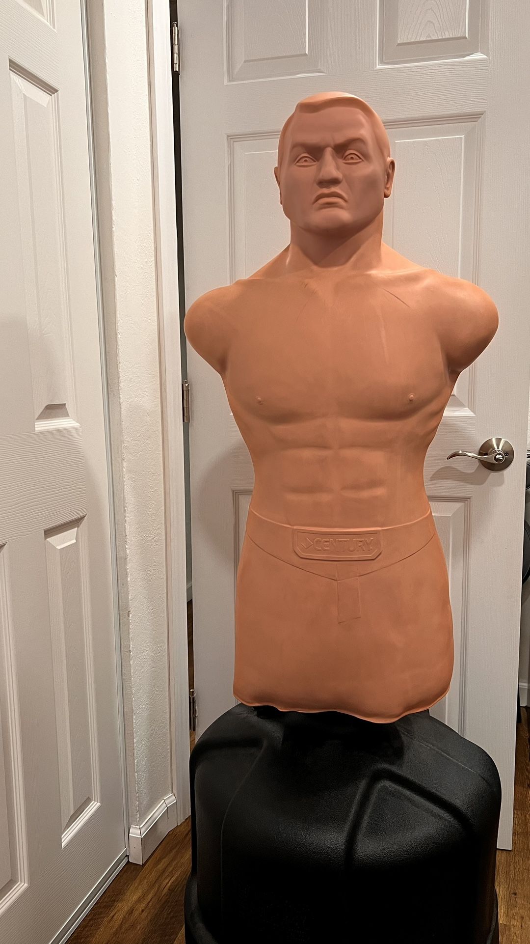 Bob Century XL Punching Bag MMA