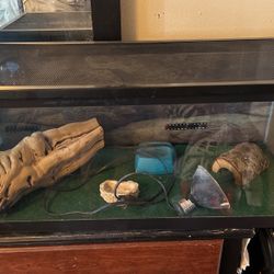 Reptile Tank 
