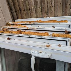 Used Casement Windows  $40 Each 