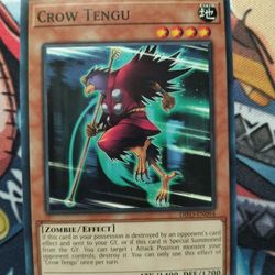 Yu-Gi-Oh Cards Crow Tengu (Read Description)