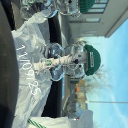 2025 Bearista Glass Bear cup