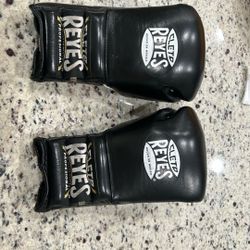 16 Oz Cleto Reyes Boxing Gloves
