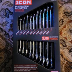 ICON 10 PIECE PROFESSIONAL LONG REACH RATCHETING WRENCH SET! METRIC 