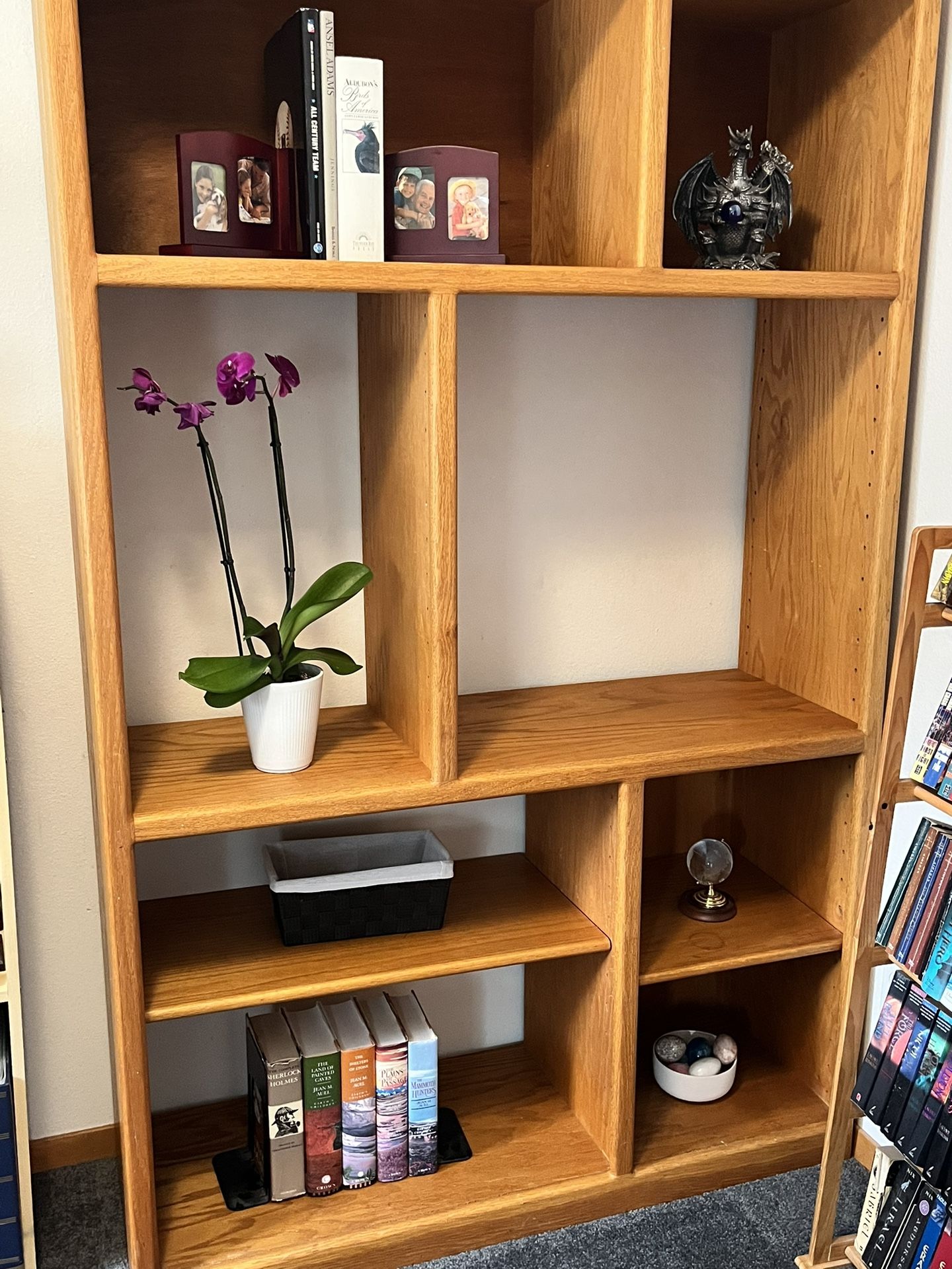 Shelf / Bookshelf / TV Stand